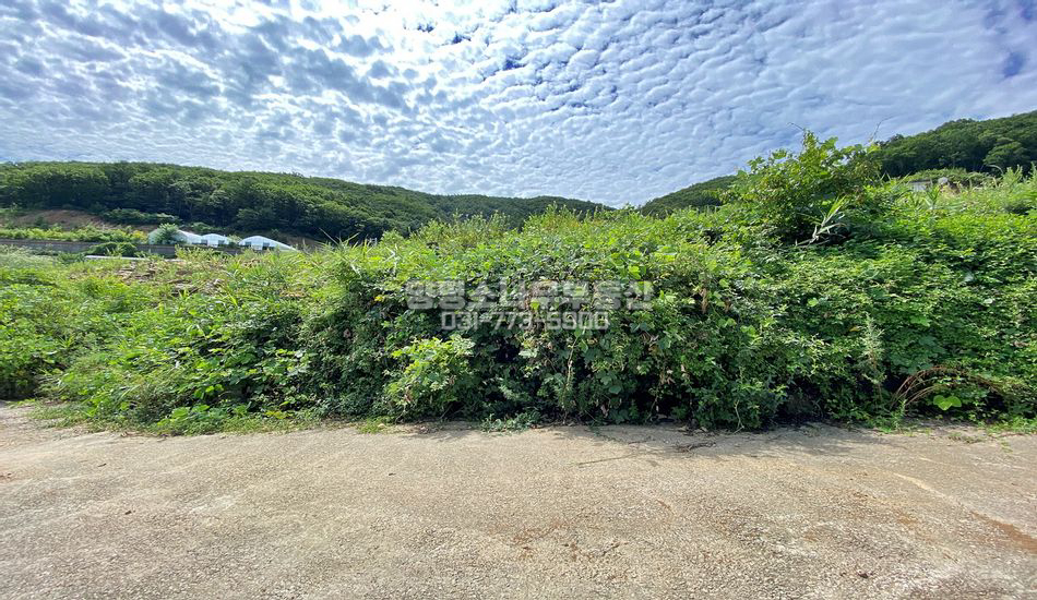 양평군 용문면 덕촌리 단지상단 주택지/일부토목