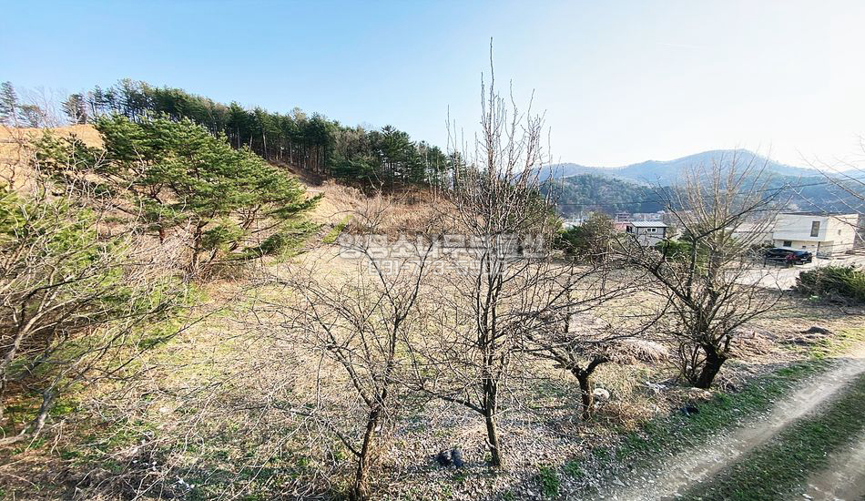 양평군 서종면 문호리 얕은 경사도 마을 중간 부지