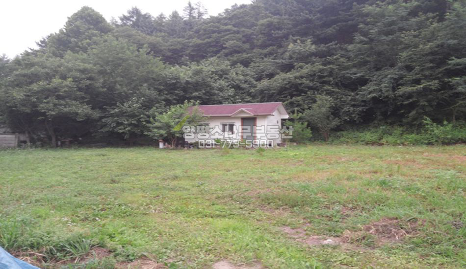 양평군 청운면 신론리 평지 산자락 주말농장