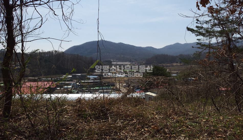 양평군 지평면 무왕리 마을끝 산자락