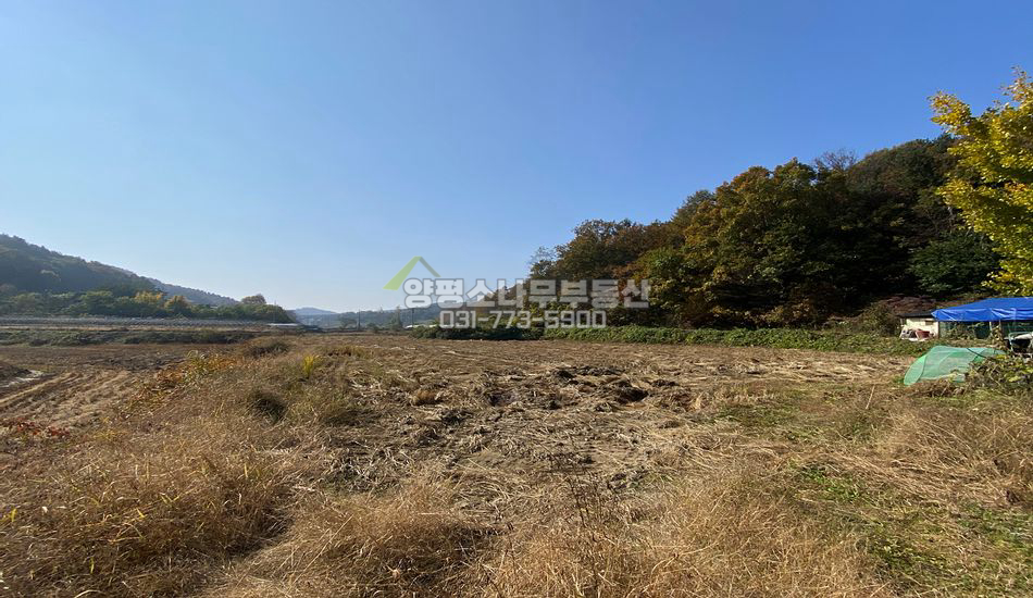 여주시 금사면 외평리 진흥구역 관리지역 혼합 저렴한땅