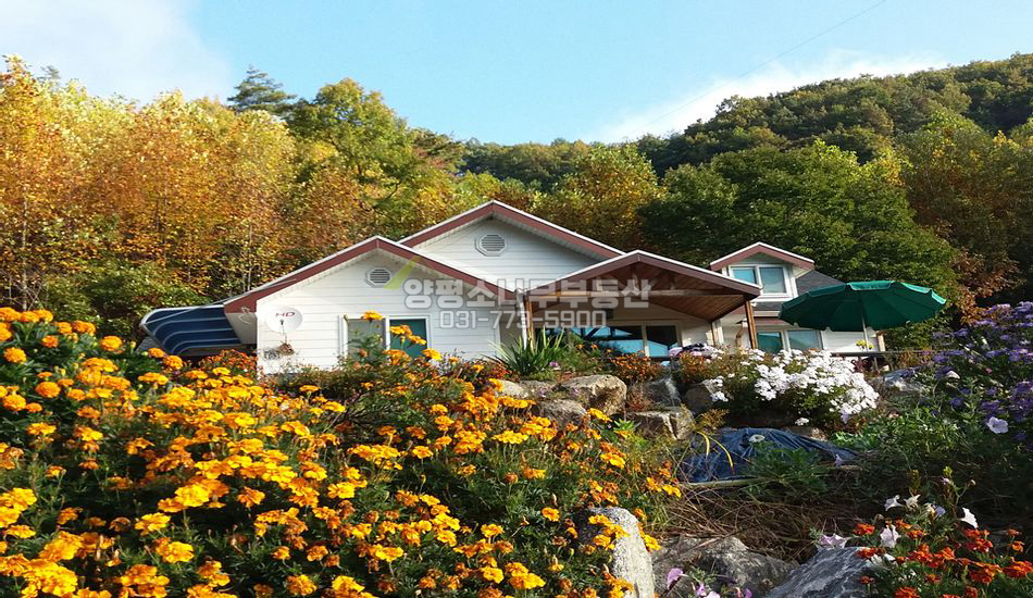 양평군 청운면 여물리 깊숙한곳 산자락 단층주택