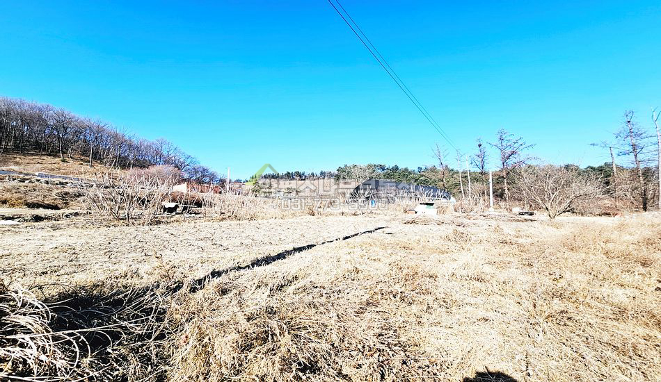 양평군 용문면 덕촌리 야트막한 곳/무허가주택20평有
