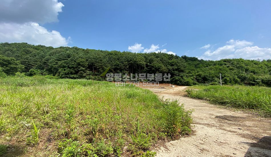 양평군 단월면 향소리 마을 끝 조용한 주택지/분할가능