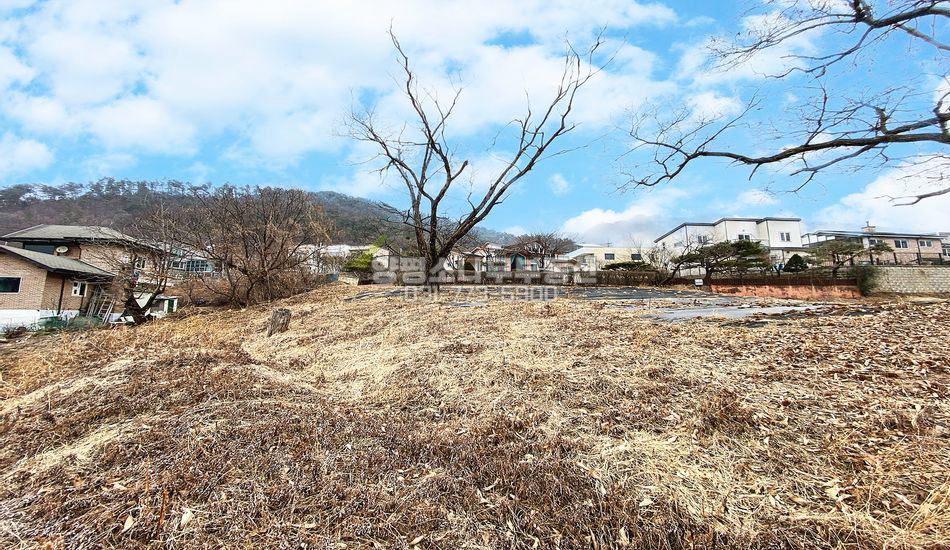 양평군 서종면 수입리 서종IC차량3분 펜션부지,주택지