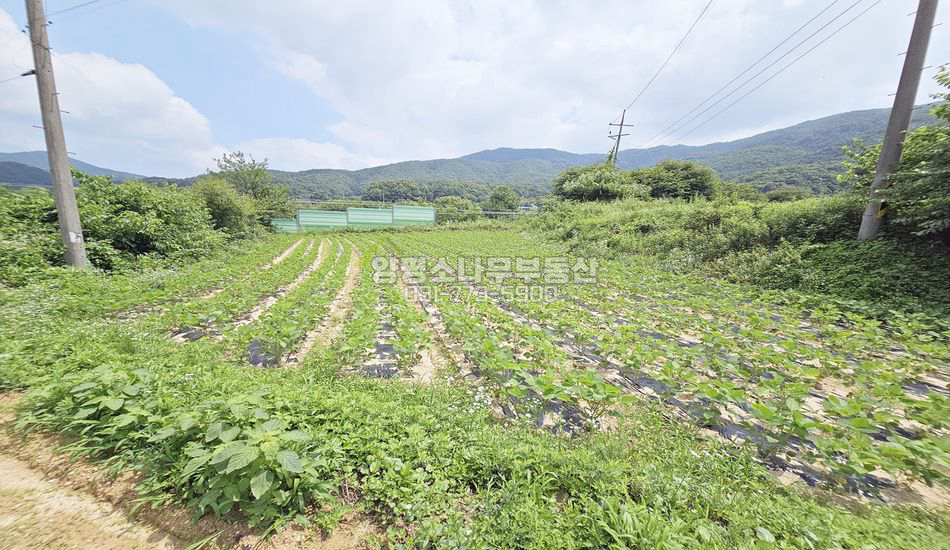 양평군 지평면 일신리 일신역 인근 계획관리 부지