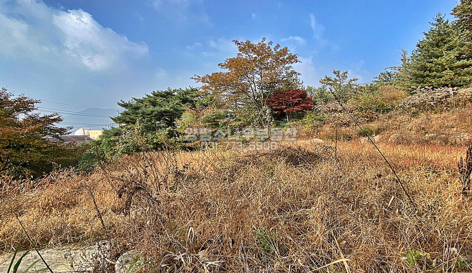양평군 옥천면 용천리 한적한 2차선변 주택지