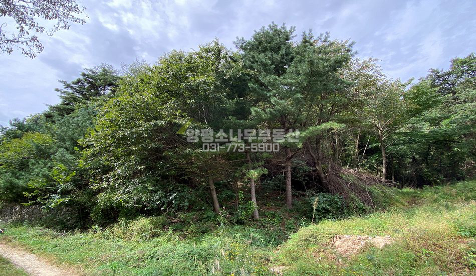 양평군 양동면 계정리 자연 그대로의 나홀로 입지
