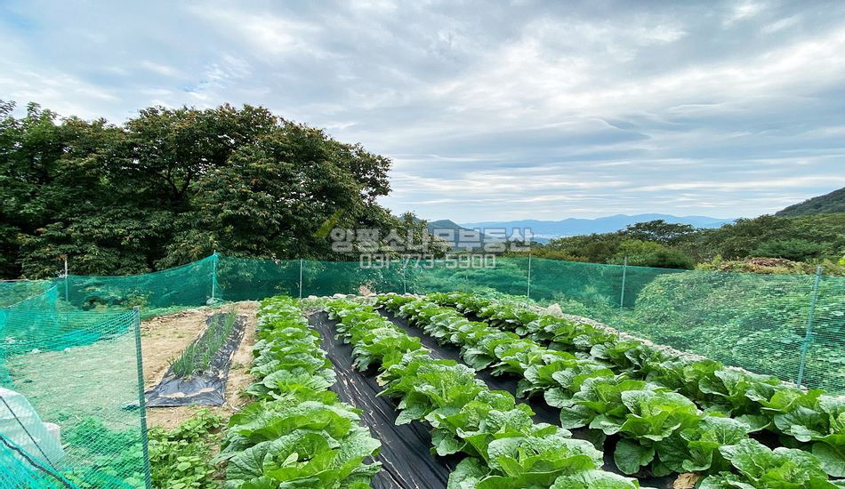 양평군 옥천면 용천리 포레스트힐 고급주택지