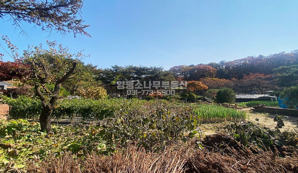 광주시 퇴촌면 도마리 투자용 1종일반주거지역 부지