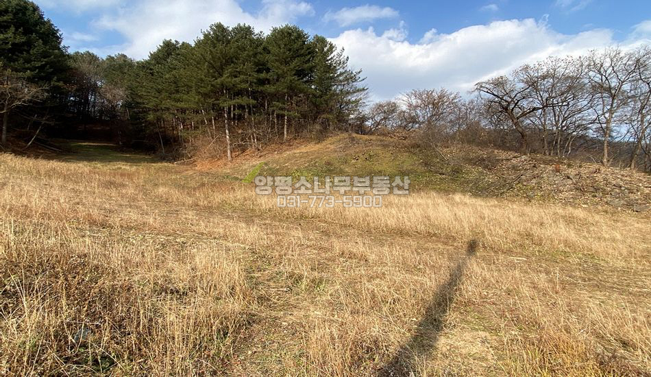 양평군 단월면 산음리 혐오시설 없는 풍광좋은 주택지