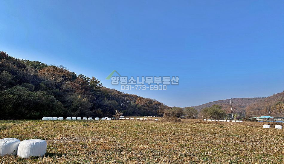 양평군 양동면 단석리 대로변 근생부지/버섯재배사 허가