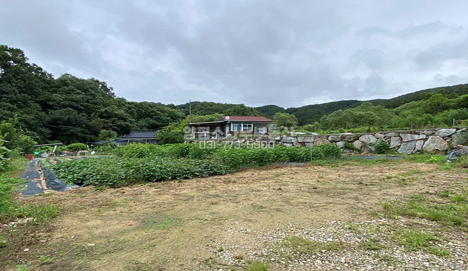 양평군 지평면 무왕리 저렴한 주말농장/농막 비닐하우스