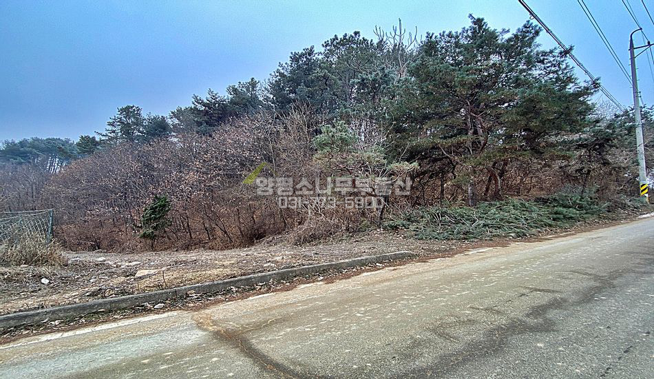양평군 양서면 청계리 자연림 주택지/토목필요