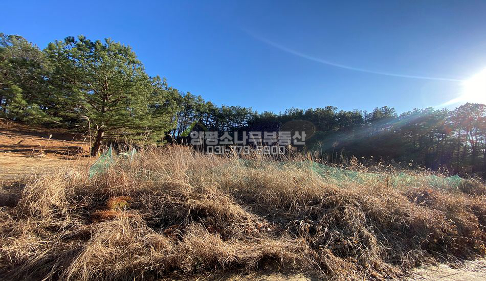 양평군 양서면 복포리 복포리 주택지