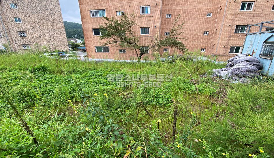 양평군 양평읍 백안리 접근성 좋은 평지 주택지