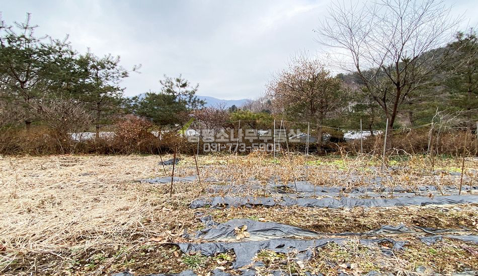 양평군 단월면 산음리 개울 접한 주택지
