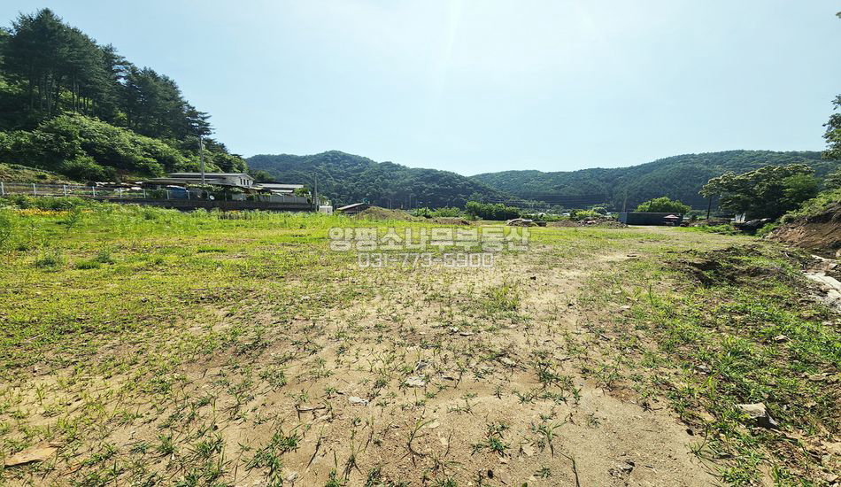 양평군 단월면 보룡리 접근성 죄고 마을 초입 평지 주택지