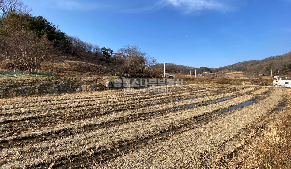 양평군 지평면 대평리 한적한곳 관리지역 농지/분할가능