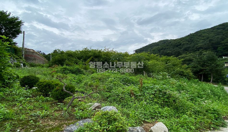 양평군 서종면 서후리 차량두대 교행가능 주택지