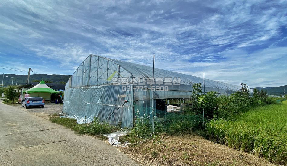 양평군 용문면 금곡리 접근성 좋은 진흥구역 농지