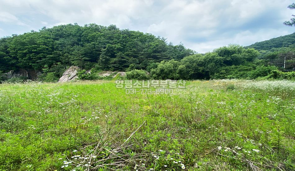 양평군 지평면 수곡리 저수지 인근 주택지