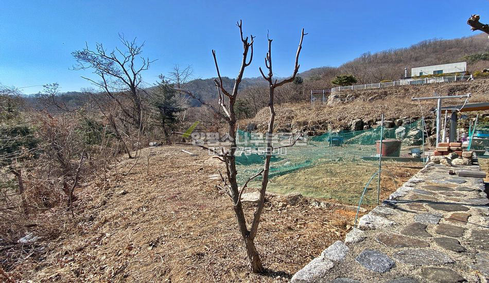 양평군 옥천면 신복리 영구조망 주택지