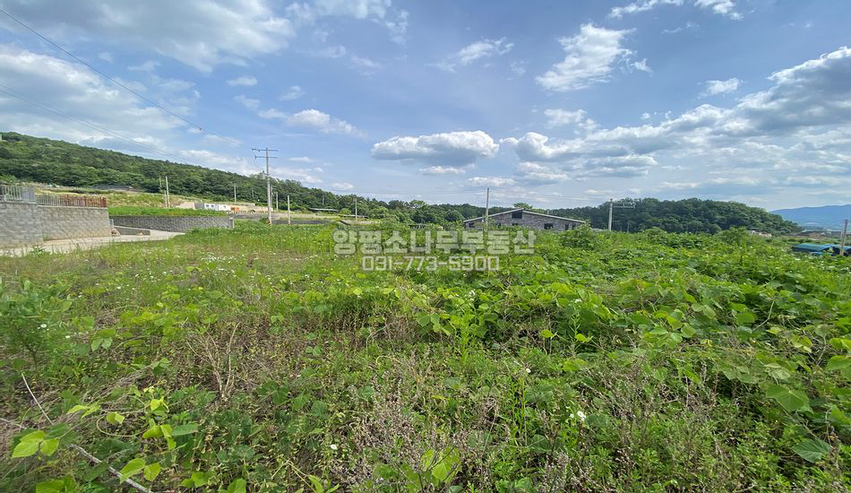 양평군 양평읍 백안리 보강토 토목 주택지