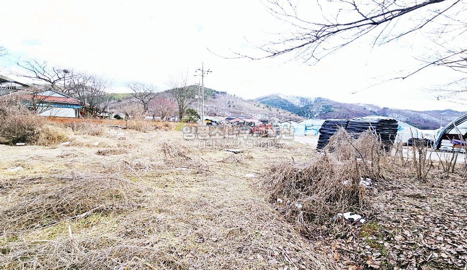 양평군 청운면 비룡리 기존 마을 내 평지 주택지/지목 대