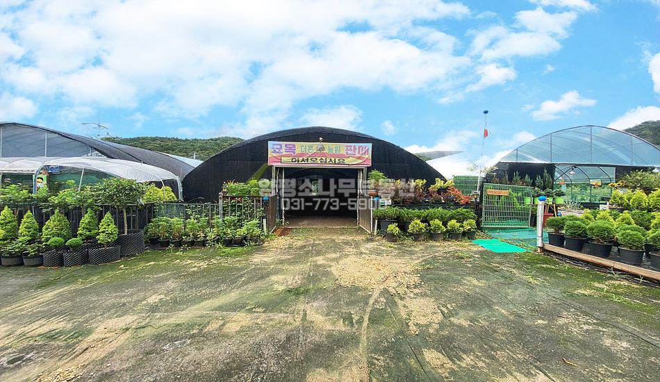 양평군 양서면 부용리 지방도 접한 네모난땅/양수역2.7KM