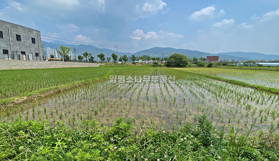 양평군 양평읍 도곡리 도시지역 농지/건축가능/4차선인근