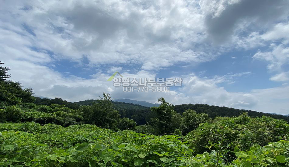 양평군 옥천면 신복리 깊숙한곳 주택지/토목필요