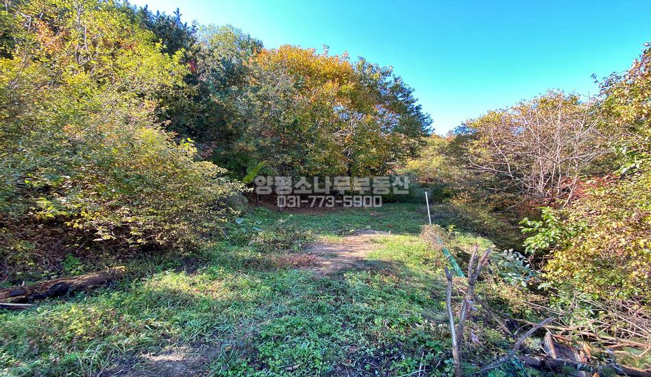 양평군 옥천면 신복리 마을 상단부 아늑한 입지