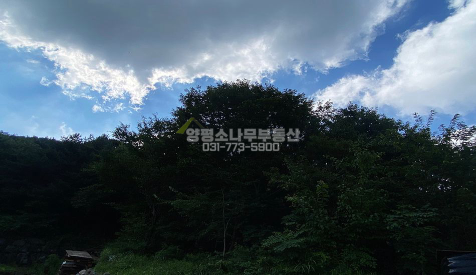 양평군 용문면 다문리 단지형 자연림 개발부지