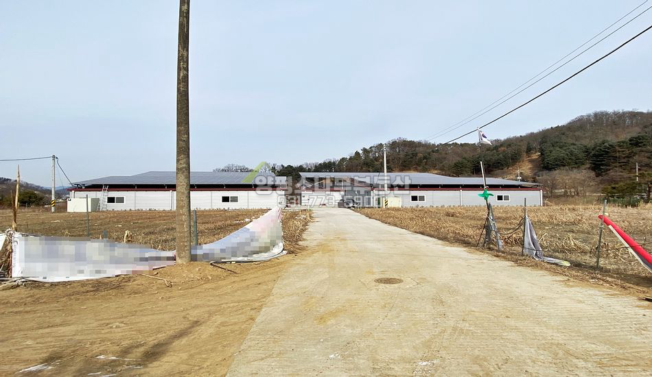 양평군 강하면 전수리 관리사/창고 임대/월세가능