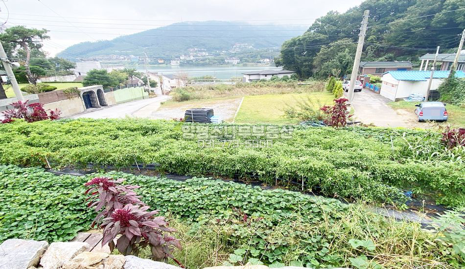 양평군 옥천면 아신리 특급 강조망 토목완료