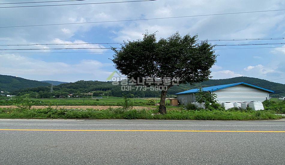 양평군 지평면 곡수리 대로변 보전관리 필지