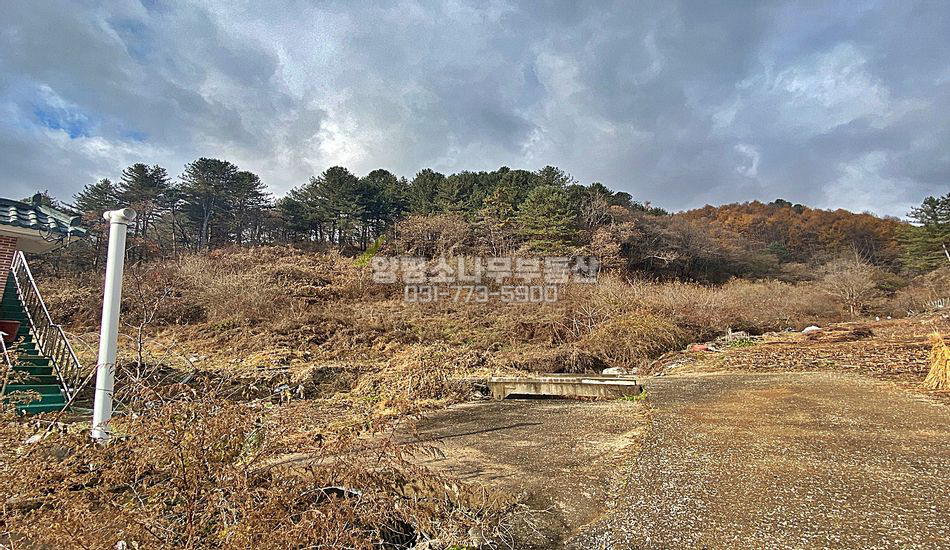 양평군 단월면 산음리 계획관리 산자락 주택지