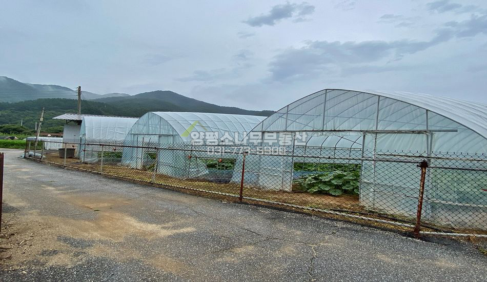 양평군 용문면 연수리 자연스런 마을내 농지/주택지