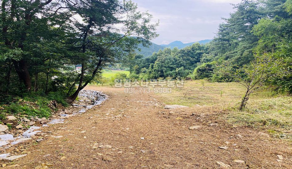 양평군 용문면 삼성리 완경사지 주택지