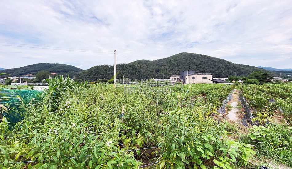 양평군 서종면 문호리 접근성 좋은 진흥구역 농지