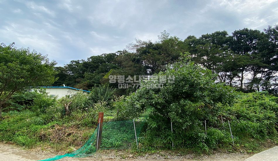 여주시 대신면 천서리 마을 내 무허가 건물/주택지
