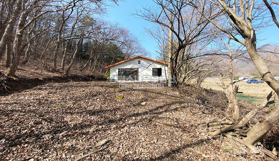 양평군 양서면 청계리 마을 상단 건물2동/수리필요함