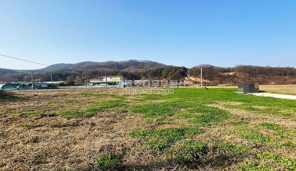 양평군 지평면 망미리 1억이하 접근성 좋은 평지 주택지