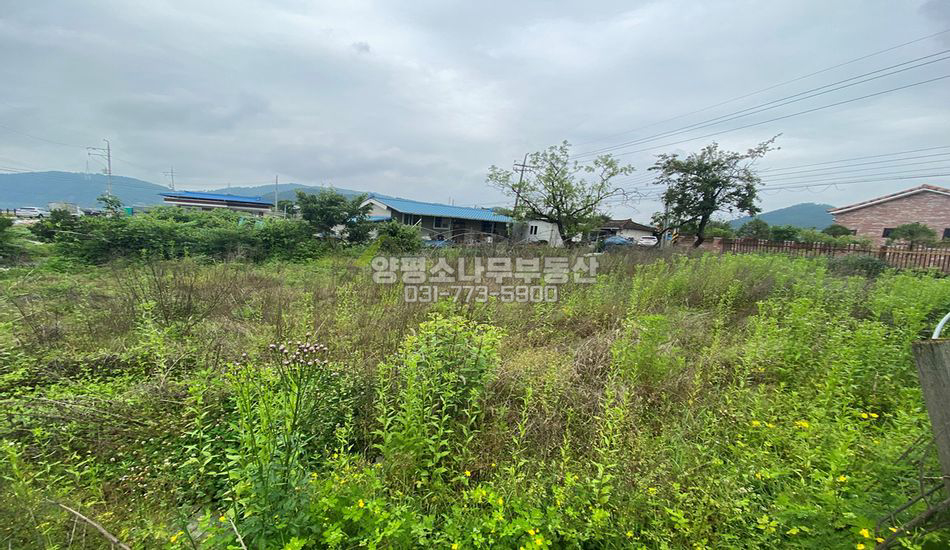양평군 개군면 하자포리 남한강 산책로변 필지