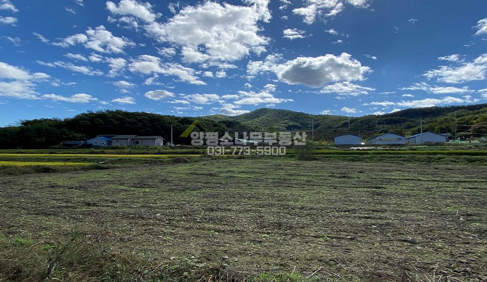 양평군 양동면 단석리 2차선 대로변 주택지