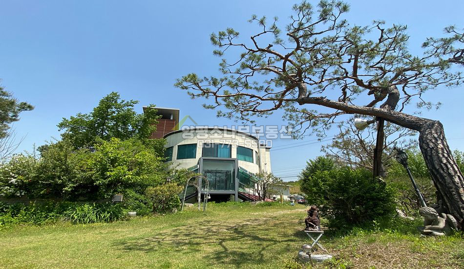 양평군 양서면 대심리 남한강 접한 건물/국유지 추가사용