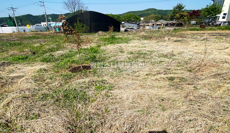 양평군 청운면 용두리 제2종일반 근생부지/빌라