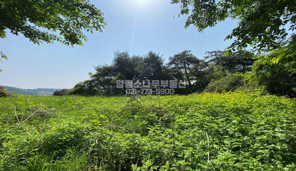 양평군 양평읍 회현리 소규모 단지 상단 주택지