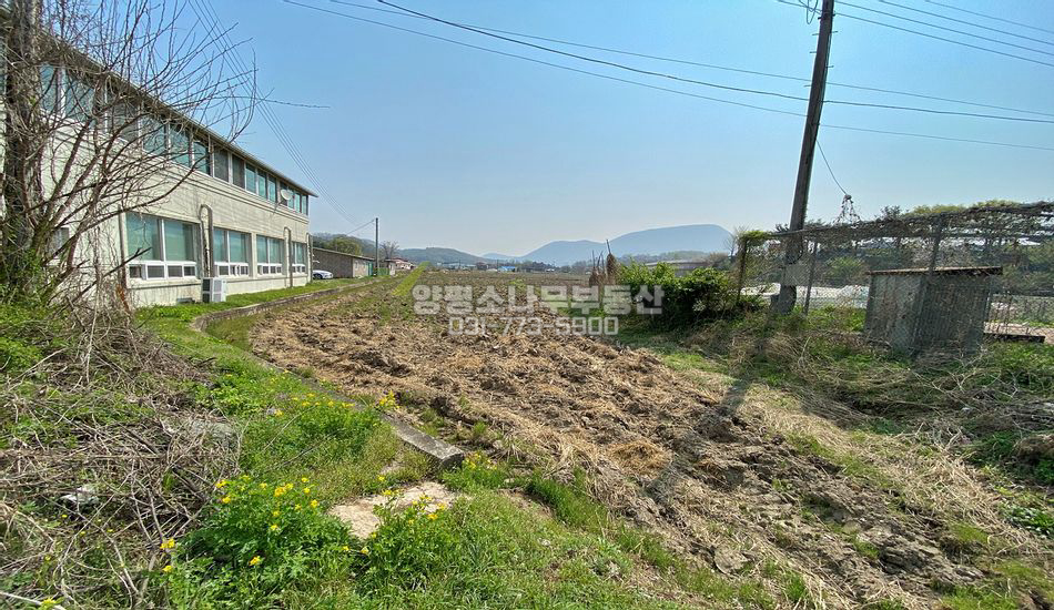 양평군 개군면 공세리 쉐르빌호텔 인근 농지/맹지